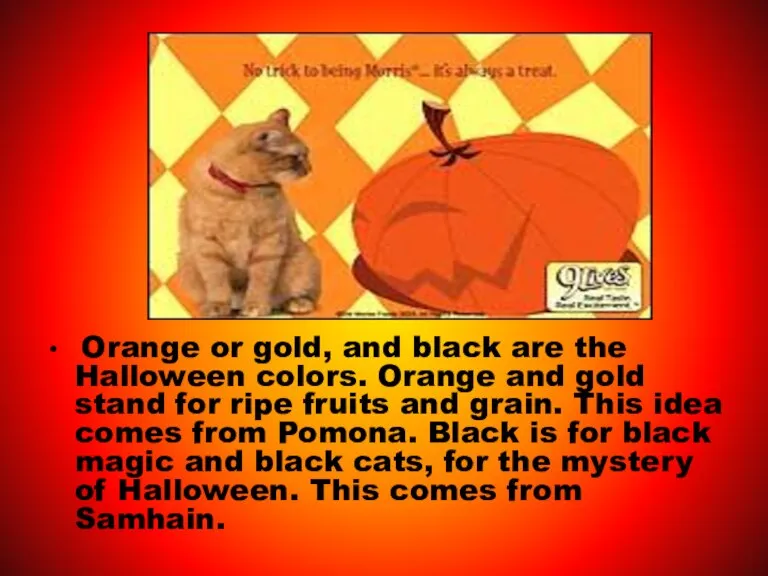 Orange or gold, and black are the Halloween colors. Orange and gold