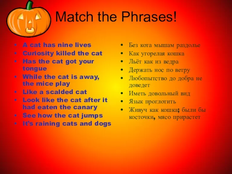Match the Phrases! A cat has nine lives Curiosity killed the cat