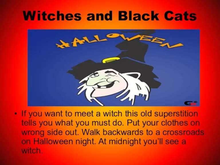 Witches and Black Cats If you want to meet a witch this