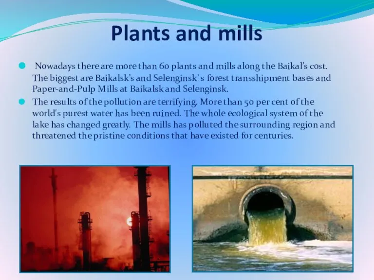 Plants and mills Nowadays there are more than 60 plants and mills