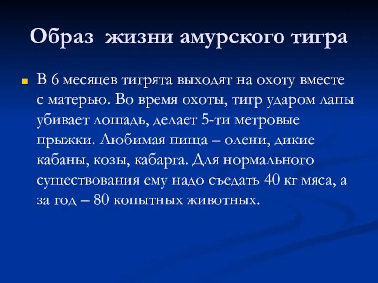 Образ жизни амурского тигра В 6 месяцев тигрята выходят на охоту вместе