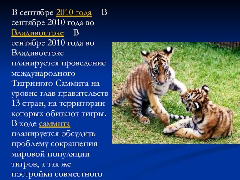 В сентябре 2010 года В сентябре 2010 года во Владивостоке В сентябре