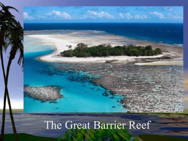 The Great Barrier Reef