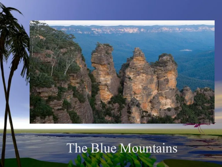 The Blue Mountains