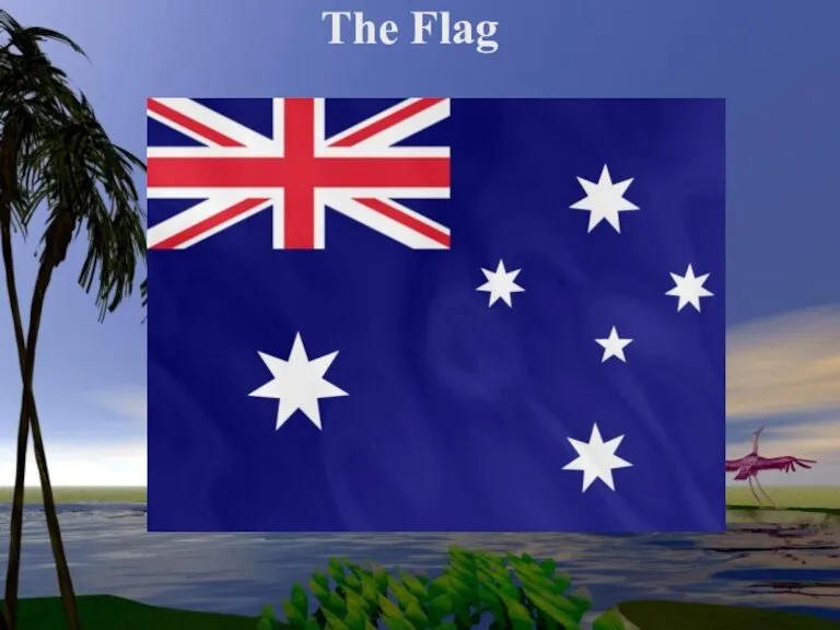 The Flag