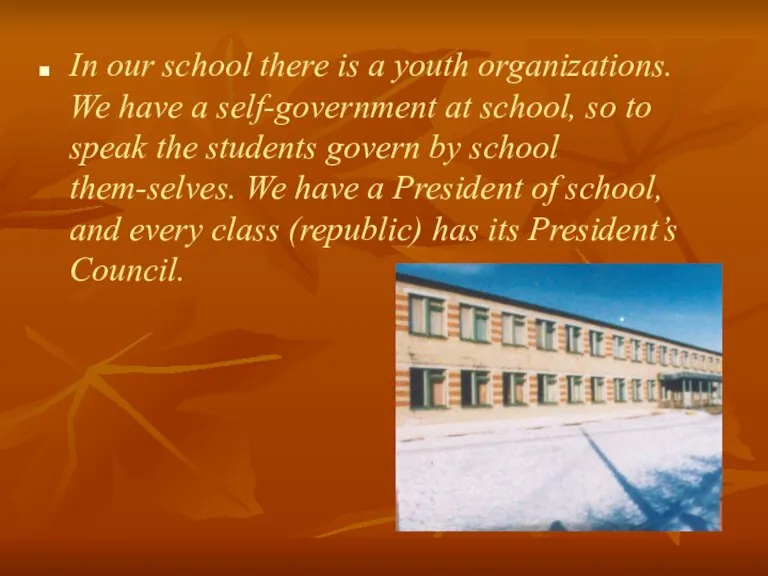 In our school there is a youth organizations. We have a self-government