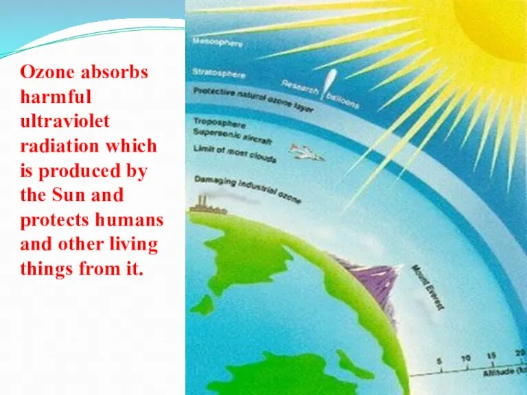 Ozone absorbs harmful ultraviolet radiation which is produced by the Sun and