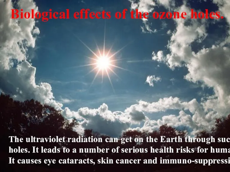 Biological effects of the ozone holes. The ultraviolet radiation can get on