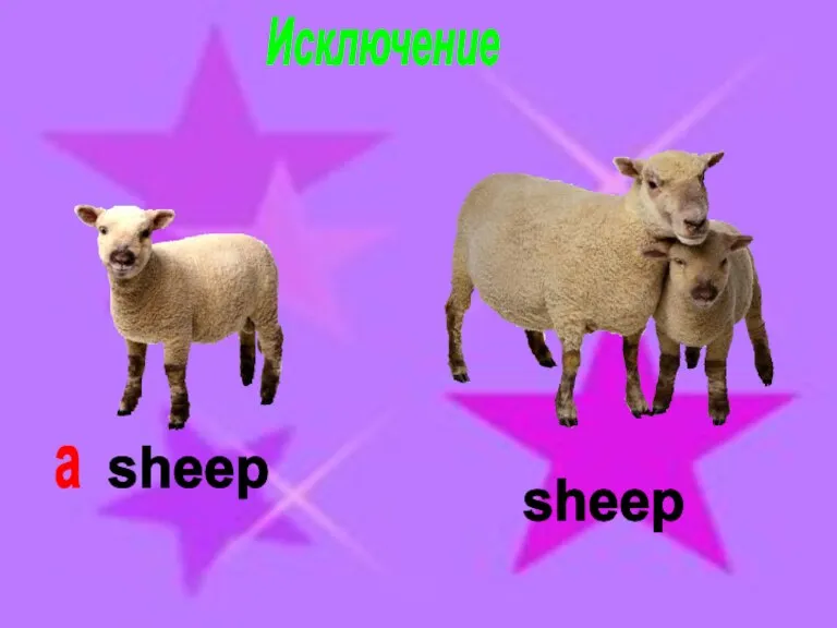 Исключение sheep a sheep