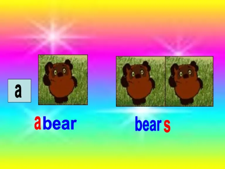 a bear bear s a