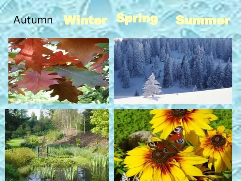 Winter Spring Summer Autumn