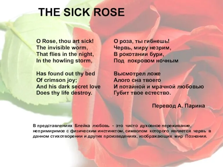 THE SICK ROSE О Rose, thou art sick! The invisible worm, That