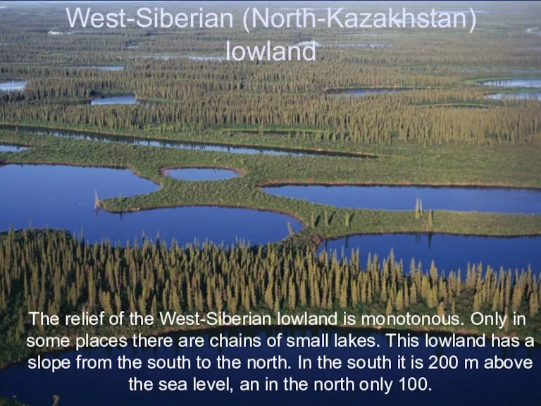 West-Siberian (North-Kazakhstan) lowland The relief of the West-Siberian lowland is monotonous. Only