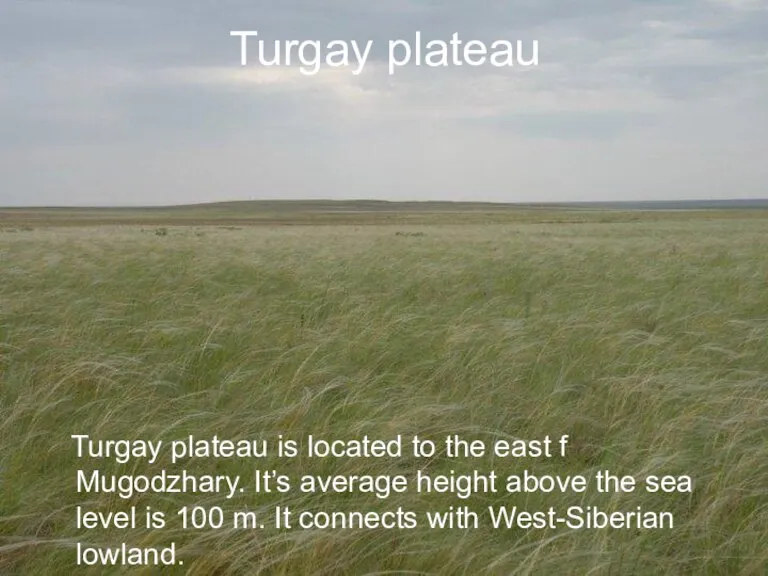 Turgay plateau Turgay plateau is located to the east f Mugodzhary. It’s