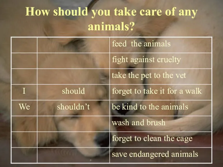 08/07/2023 How should you take care of any animals?