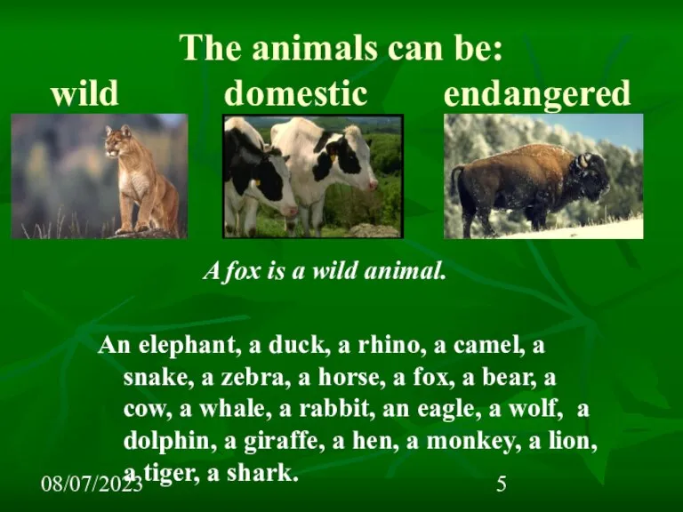 08/07/2023 The animals can be: wild domestic endangered A fox is a