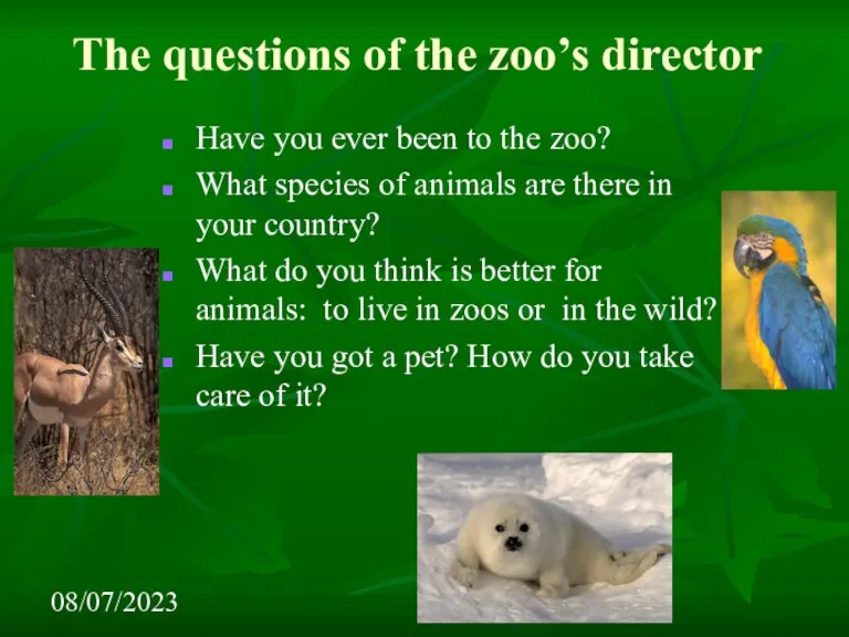 08/07/2023 The questions of the zoo’s director Have you ever been to