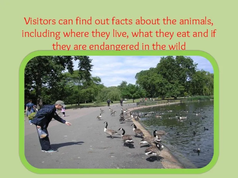 Visitors can find out facts about the animals, including where they live,