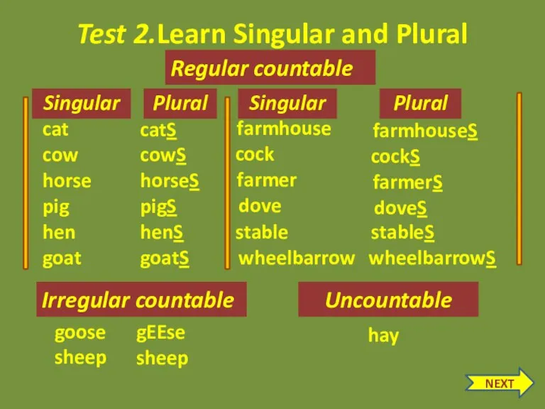 Test 2.Learn Singular and Plural Singular Plural gEEse goose Irregular countable sheep