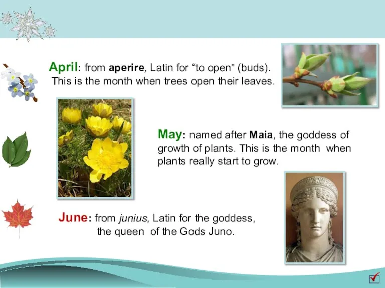 April: from aperire, Latin for “to open” (buds). This is the month