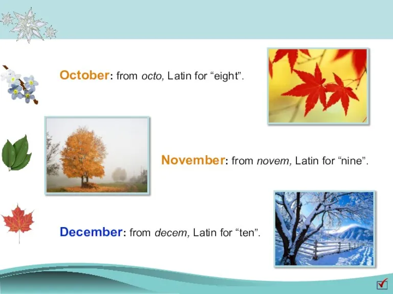 October: from octo, Latin for “eight”. November: from novem, Latin for “nine”.