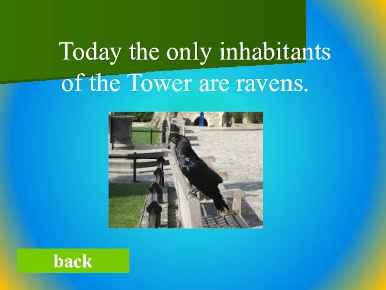 back Today the only inhabitants of the Tower are ravens.
