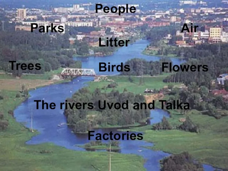 Factories The rivers Uvod and Talka Flowers People Birds Trees Litter Parks Air