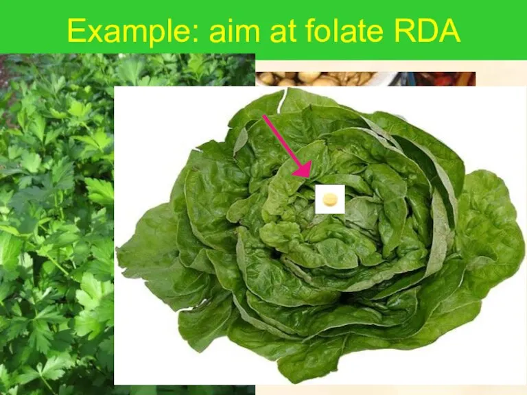 Example: aim at folate RDA