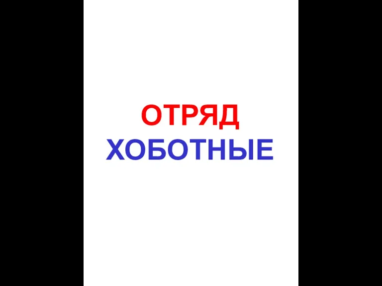 ОТРЯД ХОБОТНЫЕ