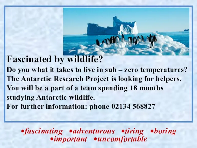 Fascinated by wildlife? Do you what it takes to live in sub