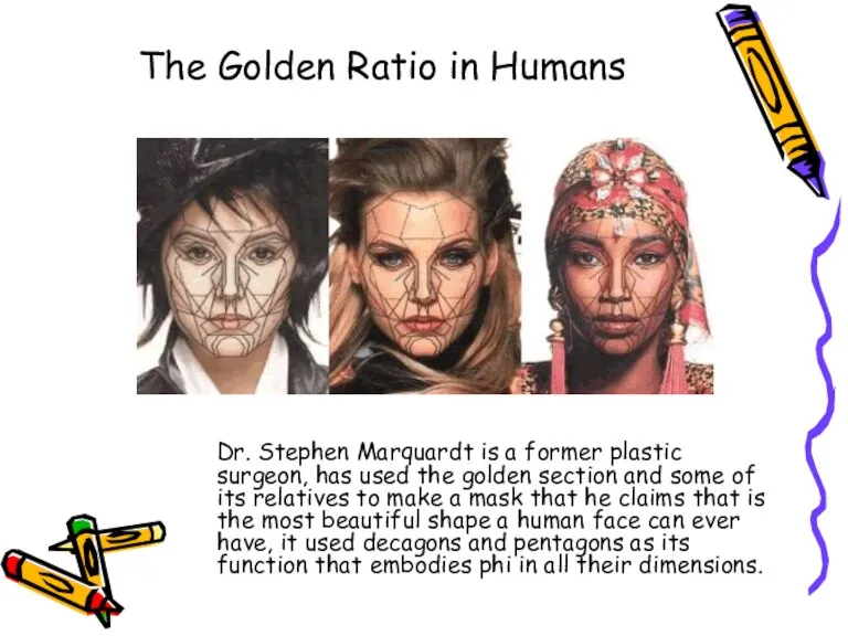 The Golden Ratio in Humans Dr. Stephen Marquardt is a former plastic