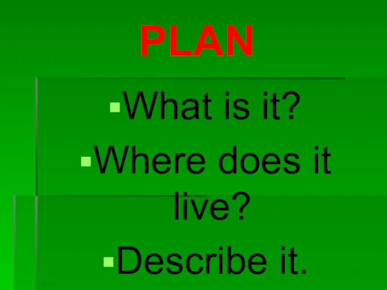 PLAN What is it? Where does it live? Describe it. What does it eat?