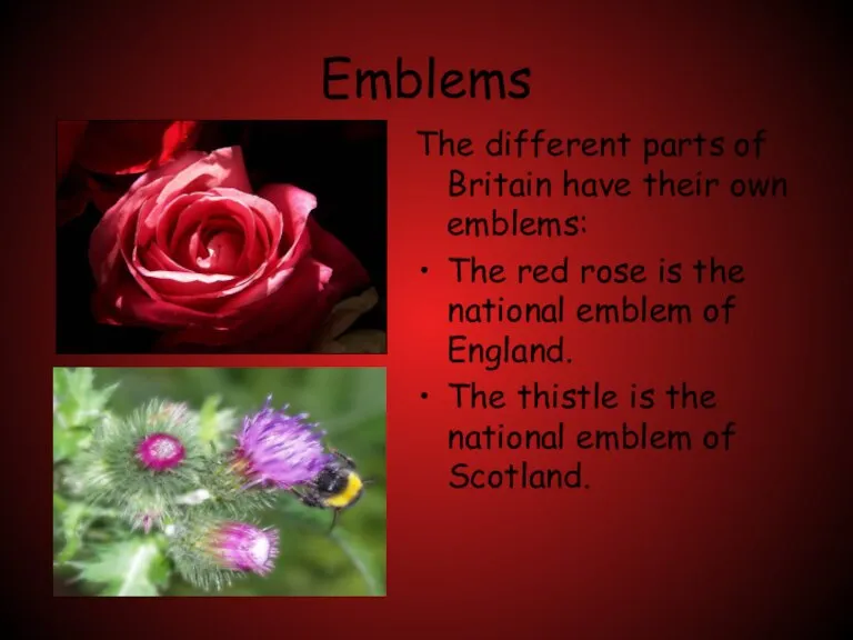 Emblems The different parts of Britain have their own emblems: The red