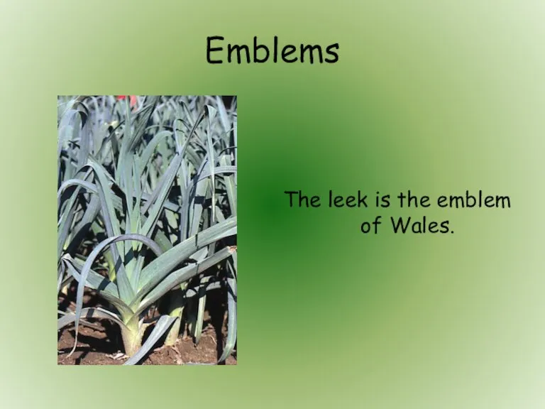 Emblems The leek is the emblem of Wales.