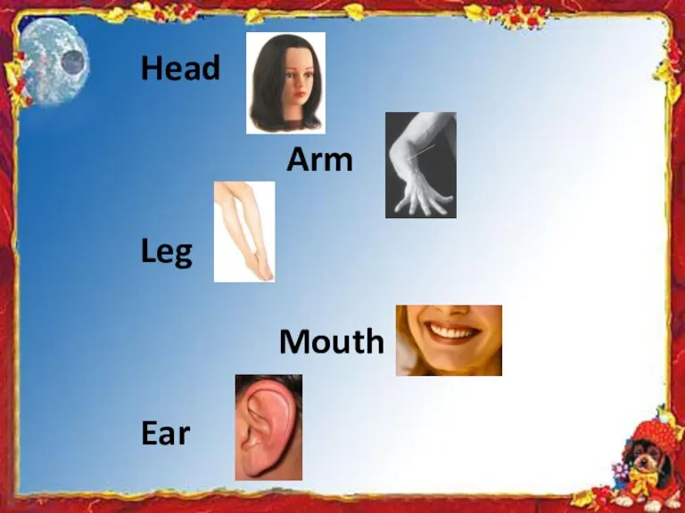 Head Arm Leg Mouth Ear