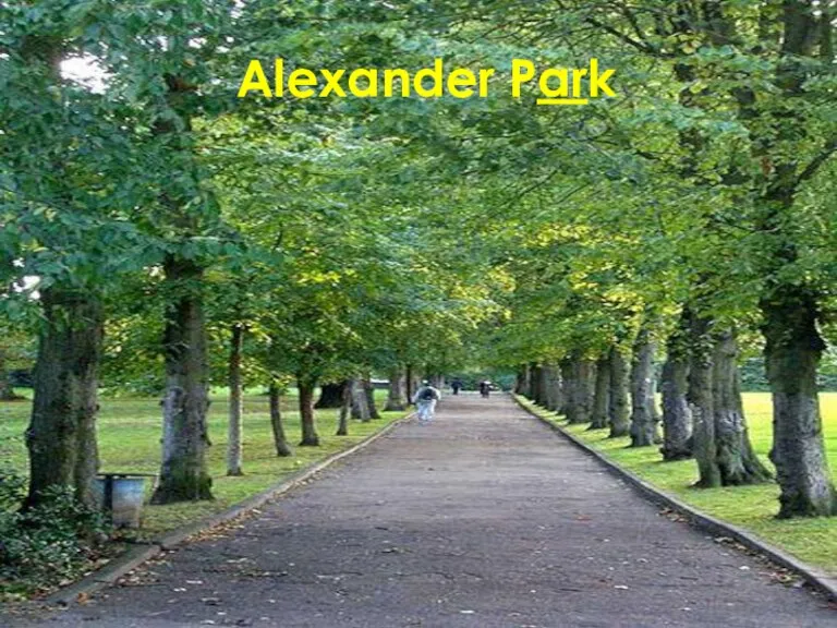 Alexander Park