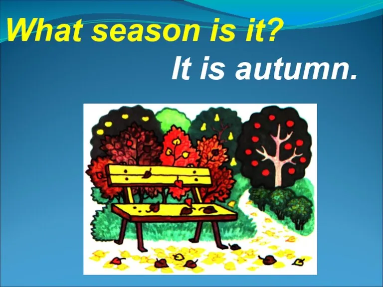 What season is it? It is autumn.