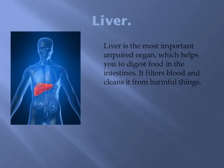 Liver. Liver is the most important unpaired organ, which helps you to