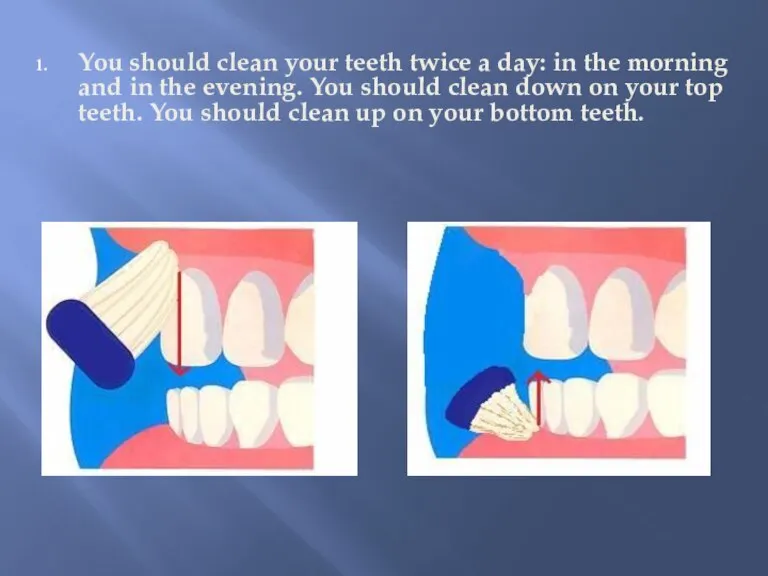 You should clean your teeth twice a day: in the morning and