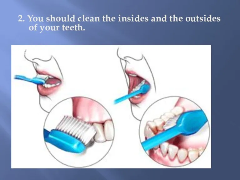 2. You should clean the insides and the outsides of your teeth.