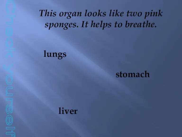 Check yourself This organ looks like two pink sponges. It helps to breathe. lungs stomach liver