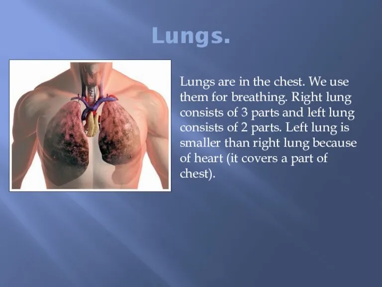 Lungs. Lungs are in the chest. We use them for breathing. Right