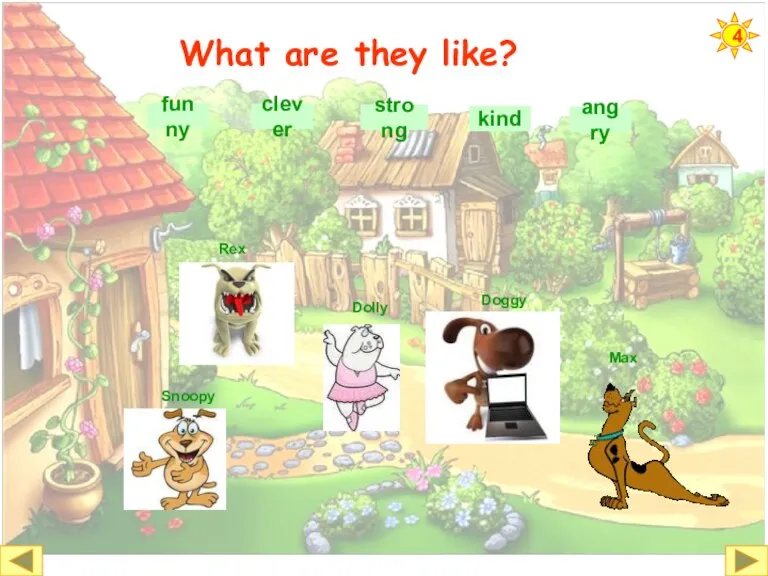 What are they like? funny clever strong angry kind 4 Rex Dolly Snoopy Doggy Max