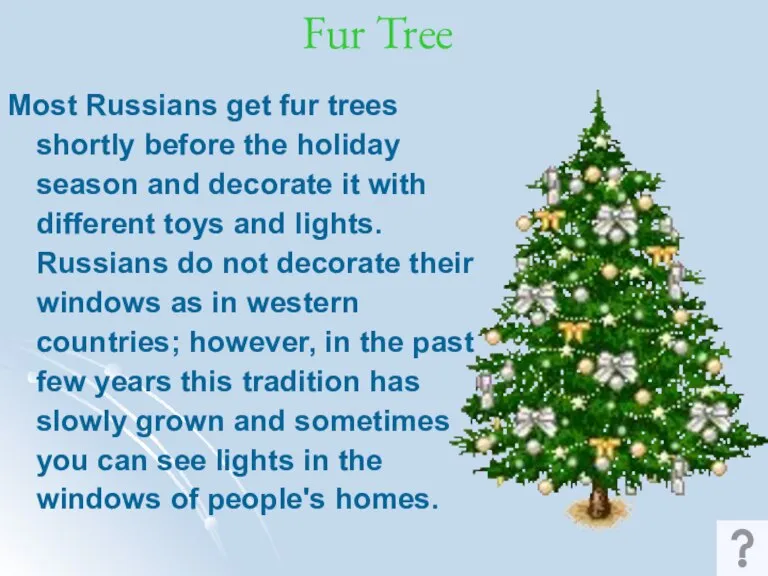 Fur Tree Most Russians get fur trees shortly before the holiday season