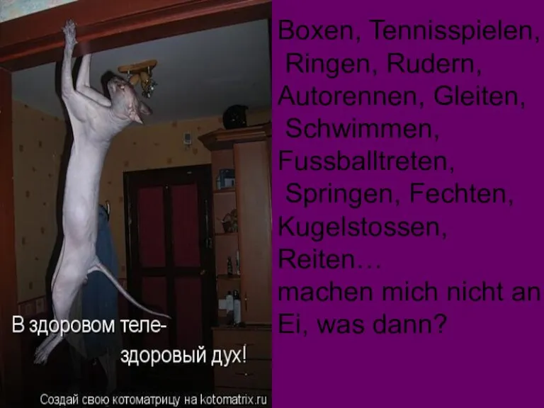 Boxen, Tennisspielen, Ringen, Rudern, Autorennen, Gleiten, Schwimmen, Fussballtreten, Springen, Fechten, Kugelstossen, Reiten…