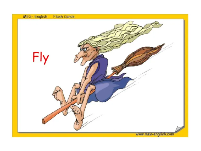 Fly