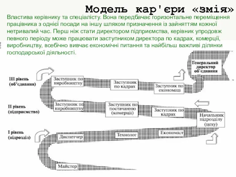 Властива керівнику та спеціалісту. Вона передбачає горизонтальне переміщення працівника з однієї посади