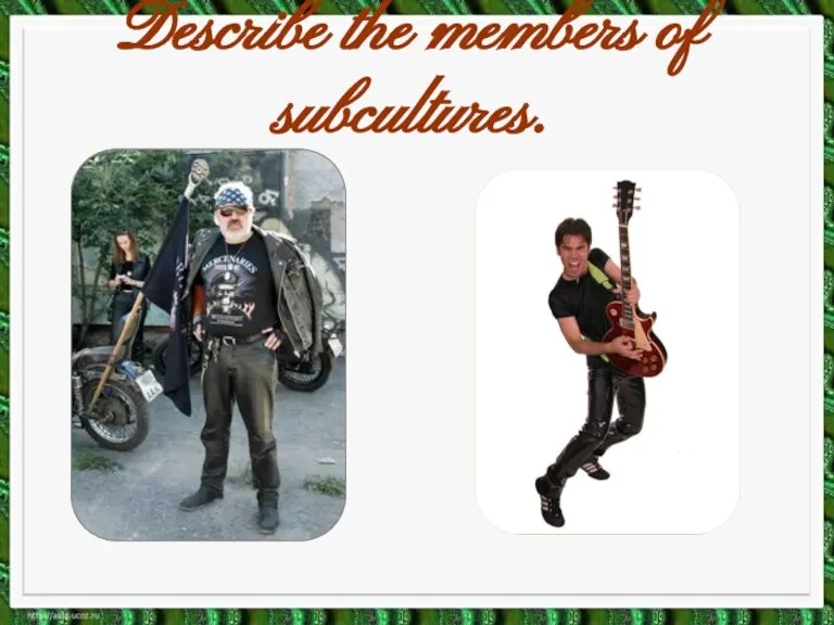 Describe the members of subcultures.