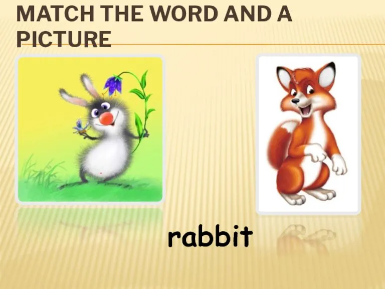 MATCH THE WORD AND A PICTURE rabbit