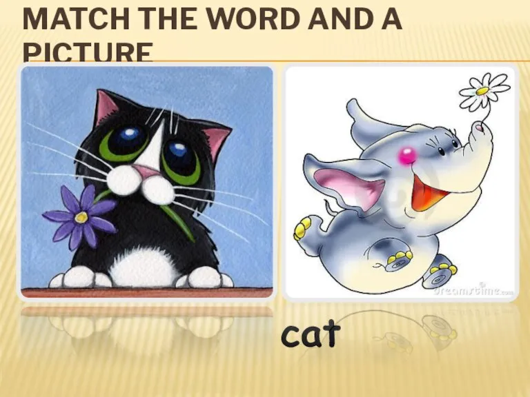 MATCH THE WORD AND A PICTURE cat